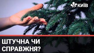 Яким ялинкам надають перевагу колеги із радіо Київ 98 фм і з Телеканалу Київ?