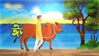 Eid-Ul-Adha Intro | Eid Animation | Eid Mubarak Motion Banner | Cow Animation | TVC | Qurbani Eid