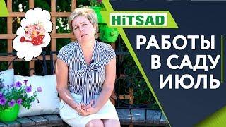 Важные работы в саду в Июле ️ Сад Летом с Хитсад ТВ