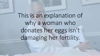 Why egg donation does not affect a donor's fertility