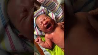Bayi Lucu, dipijat nangis #mashaallah #baby #asmr #cutebaby #newborn #shorts