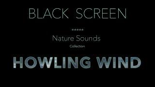 Howling Wind Sounds for Sleeping Black Screen - Dark Screen Relaxing Nature Sounds for Sleep