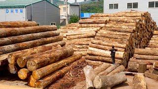 Pabrik Produksi Massal Furnitur Kayu. Proses Pembuatan Sofa Kayu.