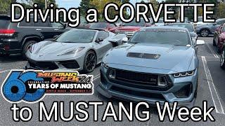 Driving a CORVETTE to MUSTANG WEEK 2024