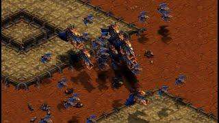 NEW STRAT ON TROY! Action!  (Z) vs Snow!  (P) - StarCraft - Brood War Remastered