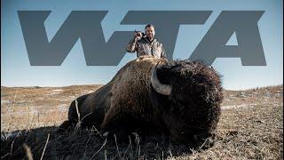 Nebraska Buffalo | Worldwide Trophy Adventures