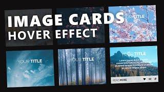 Responsive Image Cards With Hover Effect - Only Using CSS & HTML