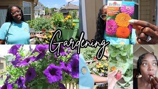 May 2024 Garden Transformation 🪴 Planting Zinnias and Lettuce  Plant and Garden with me | Zone 8a