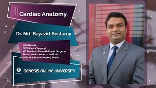 Cardiac Anatomy ll Anatomy || Dr. Md. Bayazid Bostamy || GENESIS ONLINE UNIVERSITY