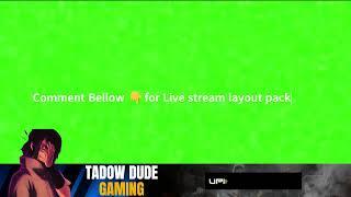 bgmi animated overlay | green screen overlay | stream layout