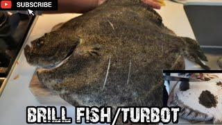 HOW TO CLEAN AND PULL THE GUTS  OF THE BRILL FISH //TURBOT// Jun and Jing Kitchenette