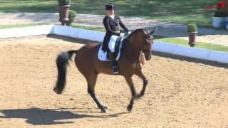 Isabell Werth | Emilio | Grand Prix Special | Pferd International | München | 2016