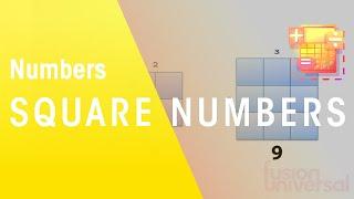 What Are Square Numbers | Numbers | Maths | FuseSchool