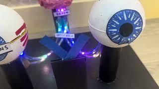 Working model of eye #schoolproject #scienceproject