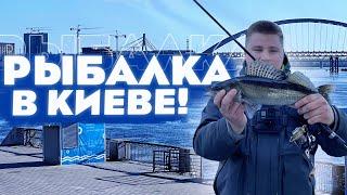 Рыбалка в центре Киева! Сколько нужно ДЕНЕГ?!