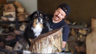 Woodturning - making a dog bowl for my dog!