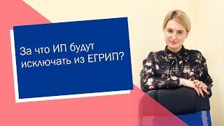 За что ИП будут исключать из ЕГРИП (ИП/РФ)