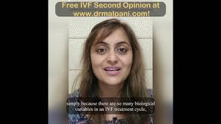 Answers after IVF failure