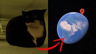 Maxwell Cat In The Backrooms on Google Earth!