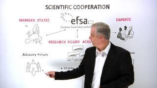 Scientific Cooperation - working together to keep Europe's food safe