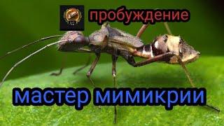 the ants underground kingdom мастер мимикрии , пробуждение мастера мимикрии.