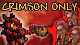 Can you Beat Terraria with Crimson Loot Only?