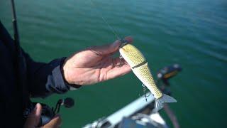 How To Fish The Gan Craft Jointed Claw 178 Glide Bait!