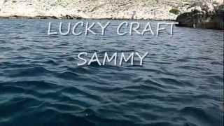 Lucky Craft Sammy Animation leurre de surface