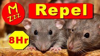 Ultimate Humane Mouse and Rat Repellent (Hooting Owls)