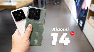 Плюсы и Минусы Xiaomi 14 и 14 Pro