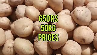 Potatoes# prices# today #10/03/23