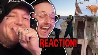 TRY NOT TO LAUGH mit Monte & @zarbexlive  Unusual Memes Reaktion | MontanaBlack Reaktion