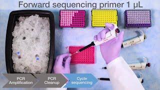 How to Perform Sanger Sequencing