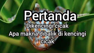 pertanda.dikencingi cicak#pertanda #047