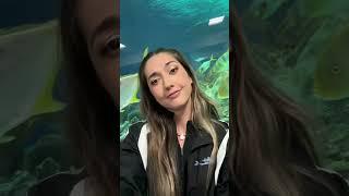 A day in the life of a Professional Mermaid ‍️ #professionalmermaid #mermaid #aquarium