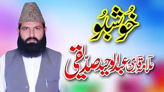 Allama Qari Abdul Waheed Siddiqui New Shart Clip Video Bayan