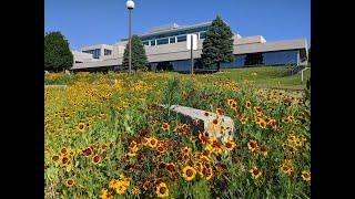 Seeding the Prairie Garden