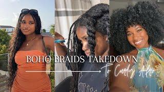 Knotless Braids to My Natural Curly Hair | Taking out my braids!!