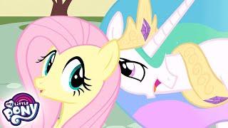 My Little Pony Deutsch  Celestias Haustier | Freundschaft ist Magie | Ganze Folge | MLP