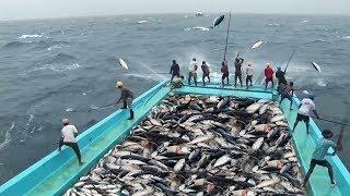 Increíble Habilidad De Pesca De Atún Rápido, Demasiados Peces! Captura De Atún En El Mar Grande 2018