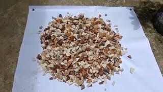 Bonsai D.I.Y. pebbles stones