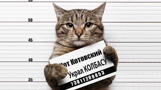 КОТЫ УГАРНЫЕ и СМЕШНЫЕ ПРИКОЛЫ 2019(с озвучкой)