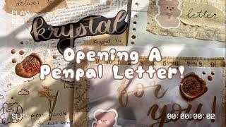 Opening The Biggest Penpal Letter I’ve Ever Received | ft. Mulpix