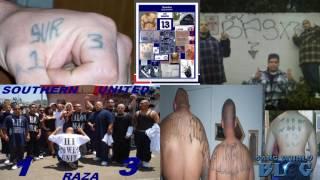 Surenos Southern California Gang Alliance History