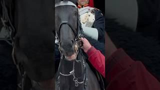 MAN ANNOYS GUARD SPEECHLESS! | Horse Guards, Royal guard, Kings Guard, Horse, London, 2024