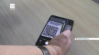 В Роспотребнадзоре разъяснили, как будут работать QR-коды в Красноярске