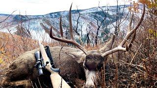 SOLO MULE DEER HUNT 2022 - Utah General Season Rifle