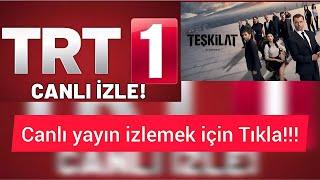 TRT 1 canlı yayın izle! Teşkilat canlı izle! TRT 1 canlı nasıl izlenir? Nereden izlenir?