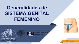 Sistema genital femenino: generalidades