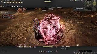 BDO | Succession Ninja | Fortunate Golden Pig Cave | 13:33 + Big Boss | 354 AP